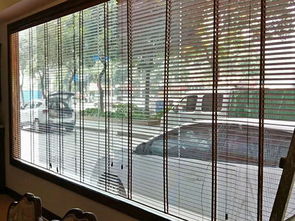 江門遙控百葉簾供應(yīng)商 升降 防曬 手動(dòng)拉珠 消音 滿滿窗飾